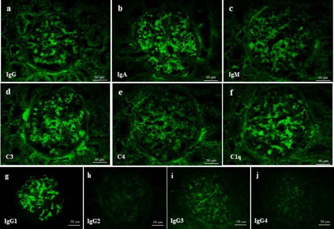 Fig. 2