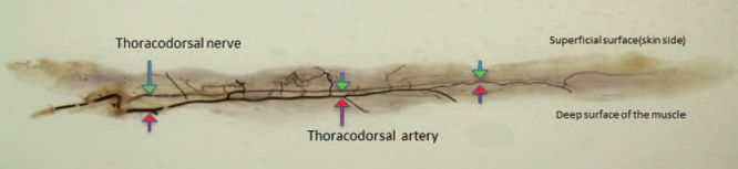 Fig. 5.