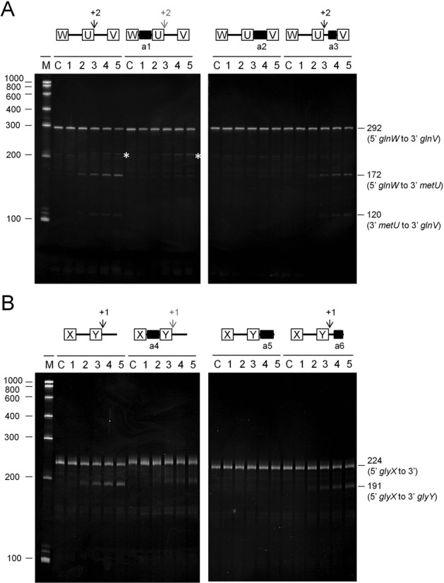 Figure 6.