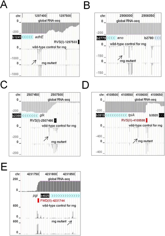 Figure 4.