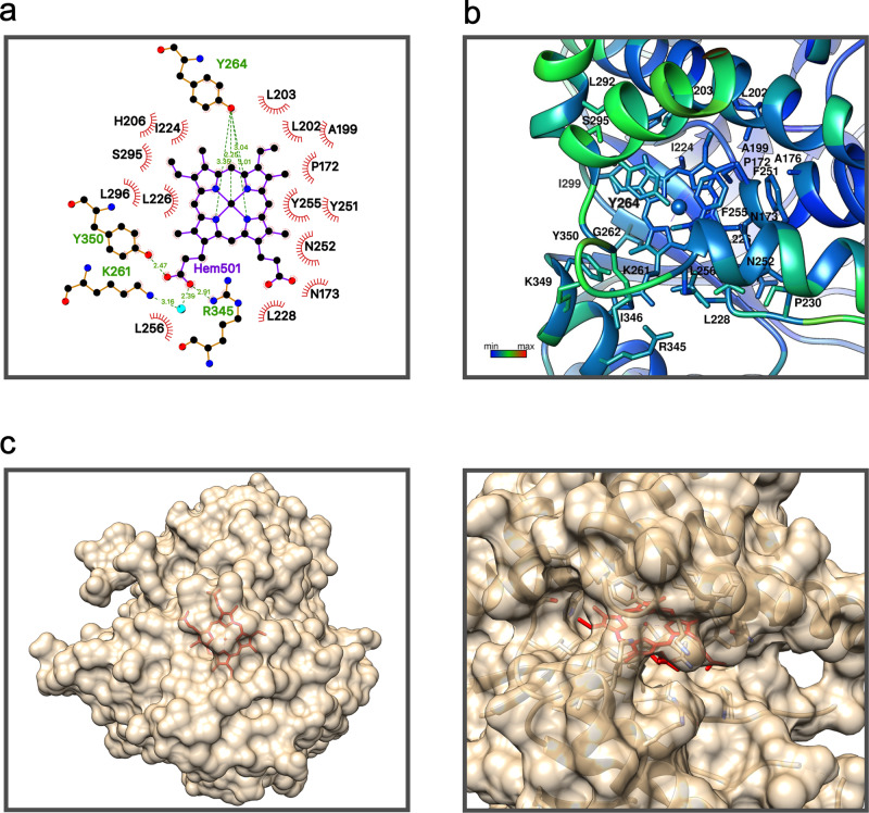 Fig. 7