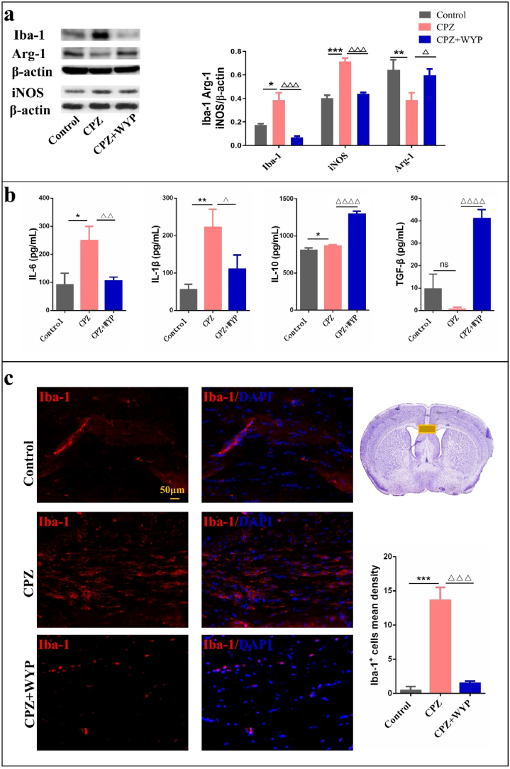 Figure 3