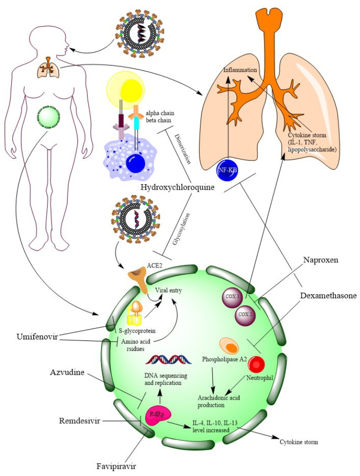 Figure 6