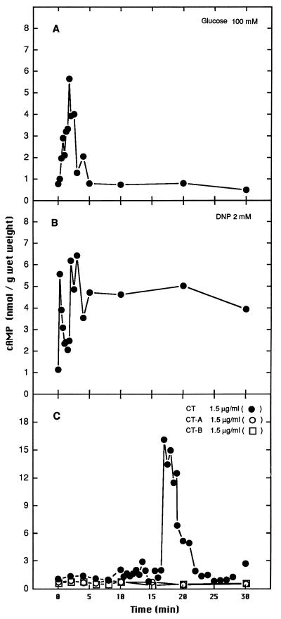 FIG. 3