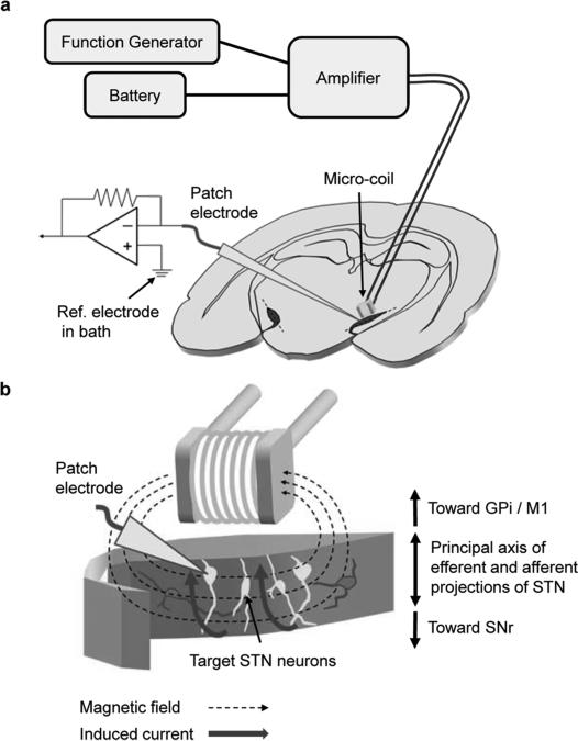 Fig. 1