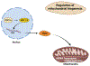 Figure 1-