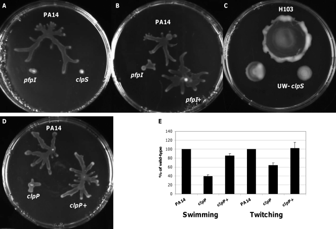 Fig 1