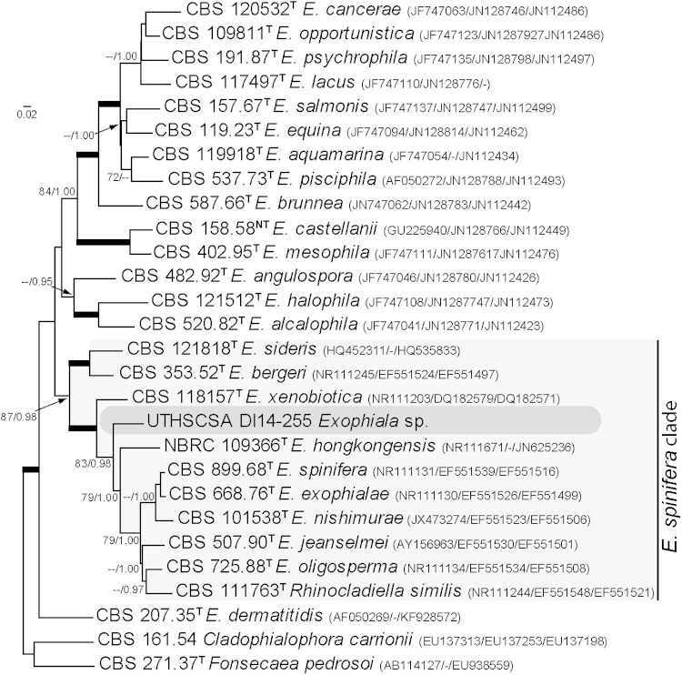 FIG 2