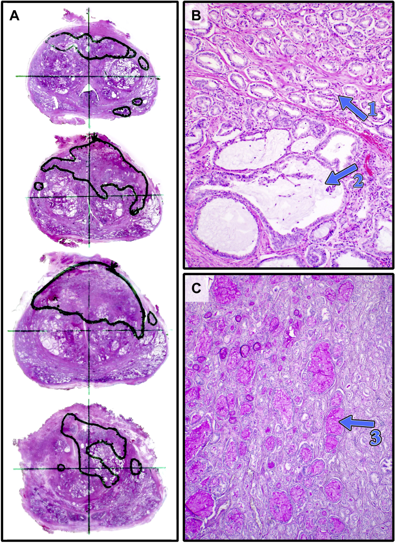 Fig. 3