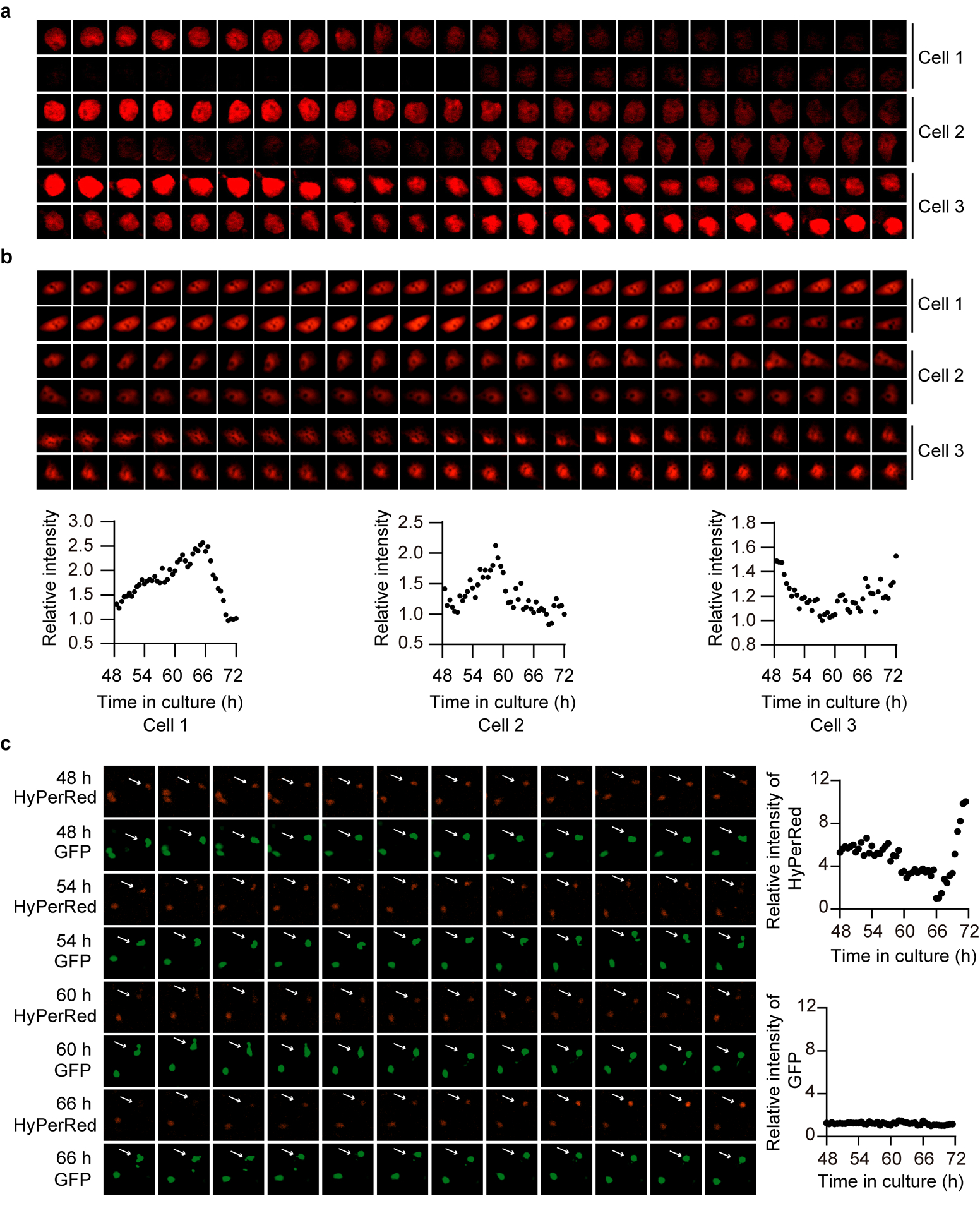 Extended Data Figure 1.