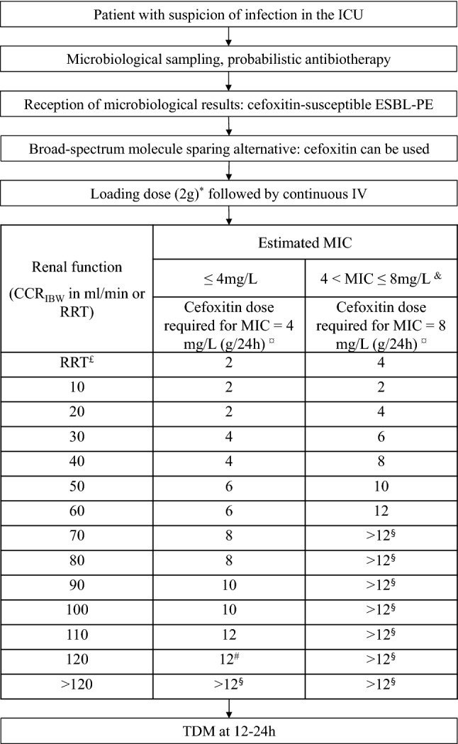 Pharmacokinetics, efficacy and tolerance of cefoxitin in the treatment ...