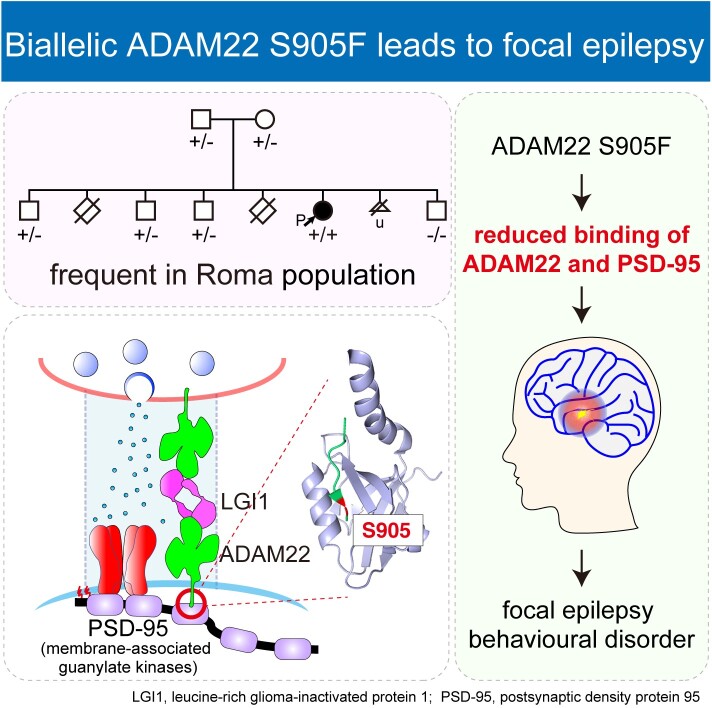 Graphical Abstract