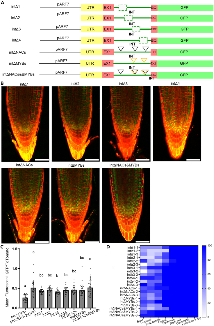 Figure 3