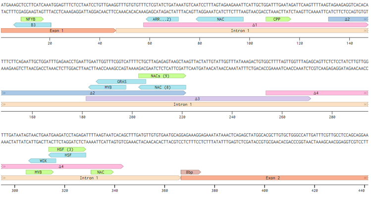 Figure 2