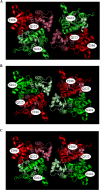 FIGURE 1.