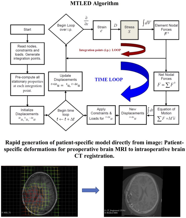 graphic file with name nihms-1532493-f0001.jpg