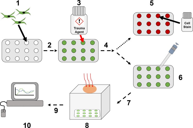 Fig 6