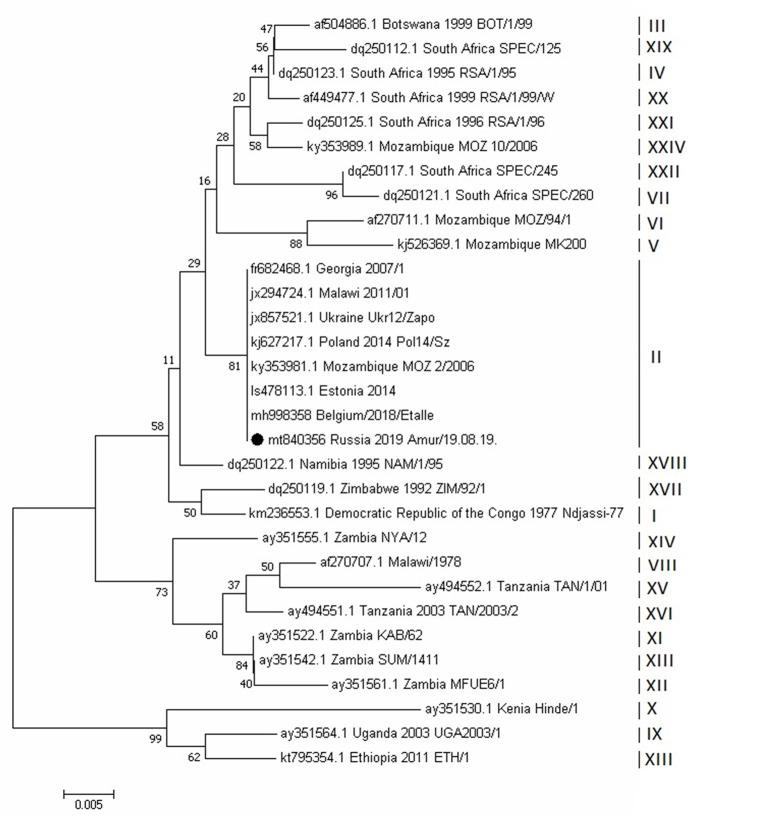 Figure 6