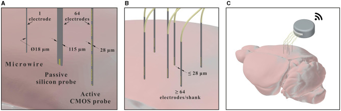 Figure 9