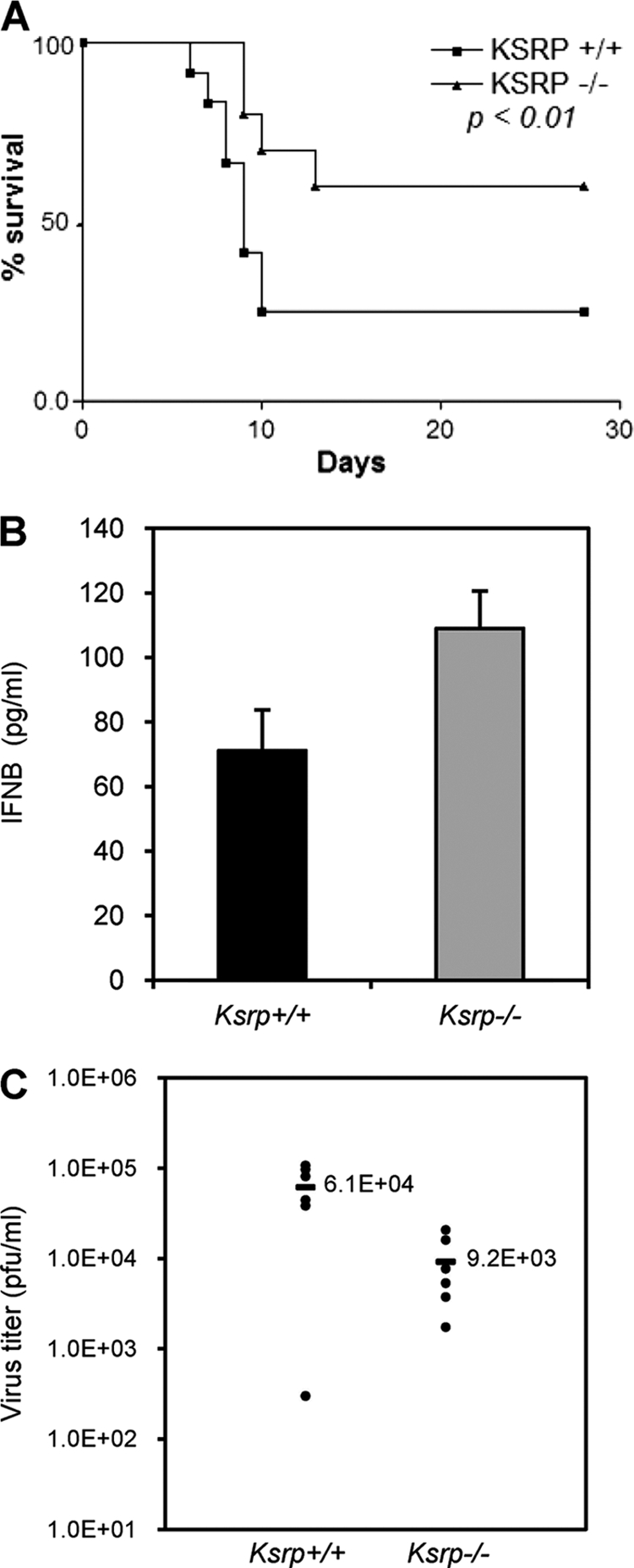 Fig. 9.