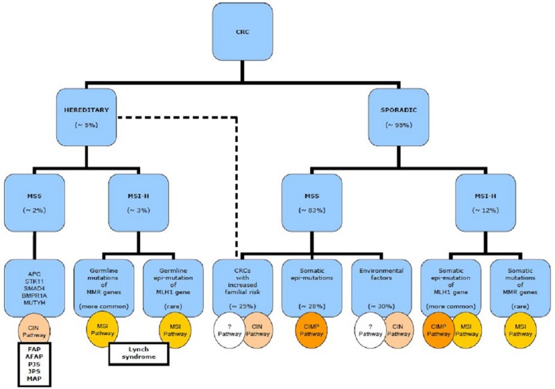 Figure 19