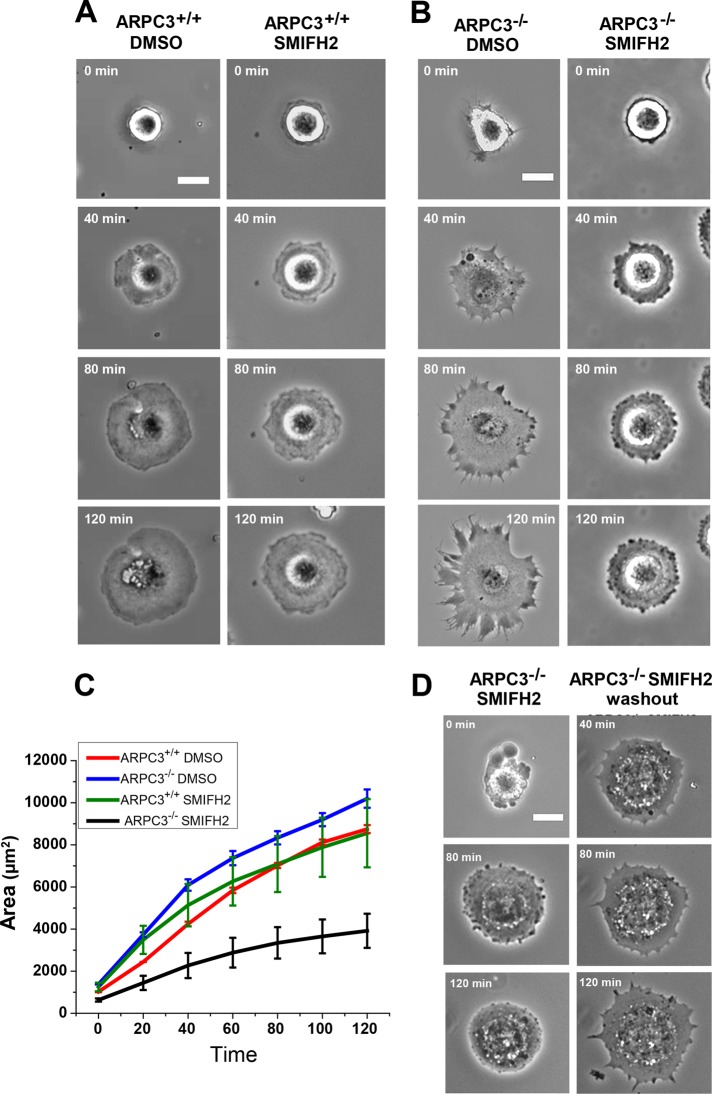 FIGURE 2: