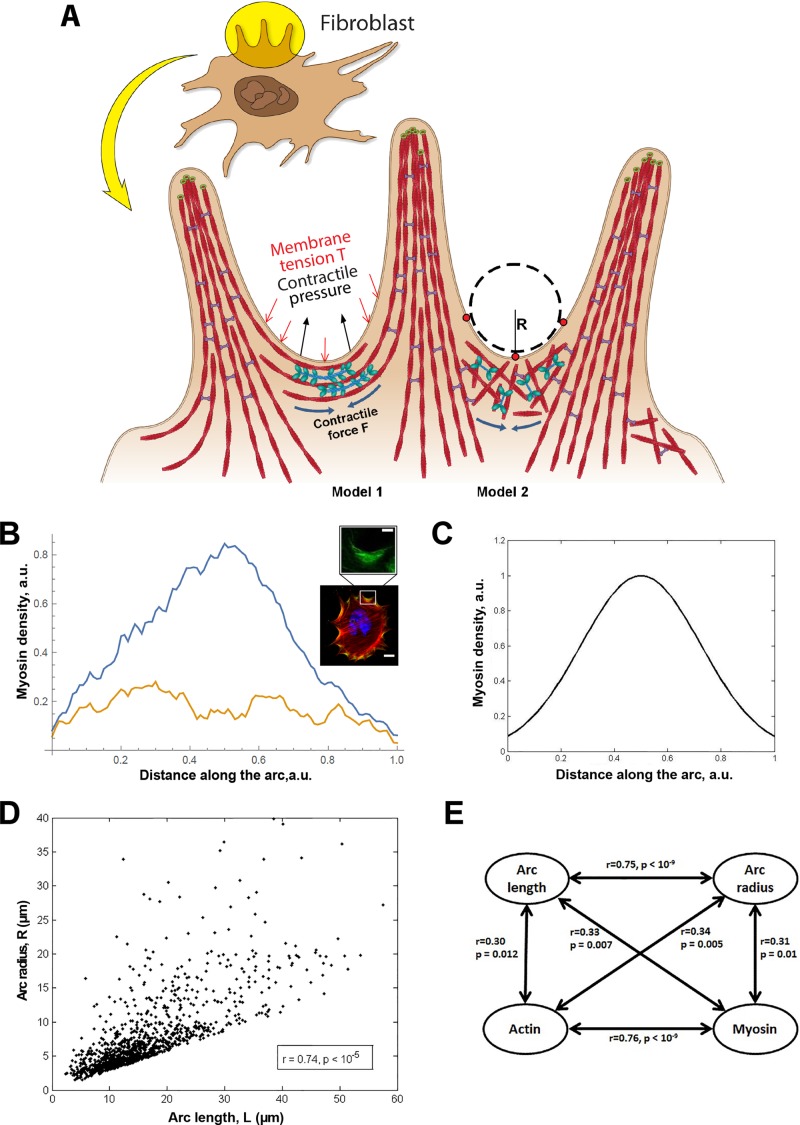 FIGURE 5: