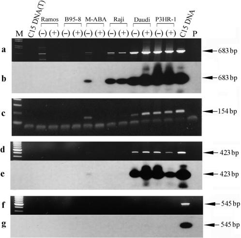 Figure 6.