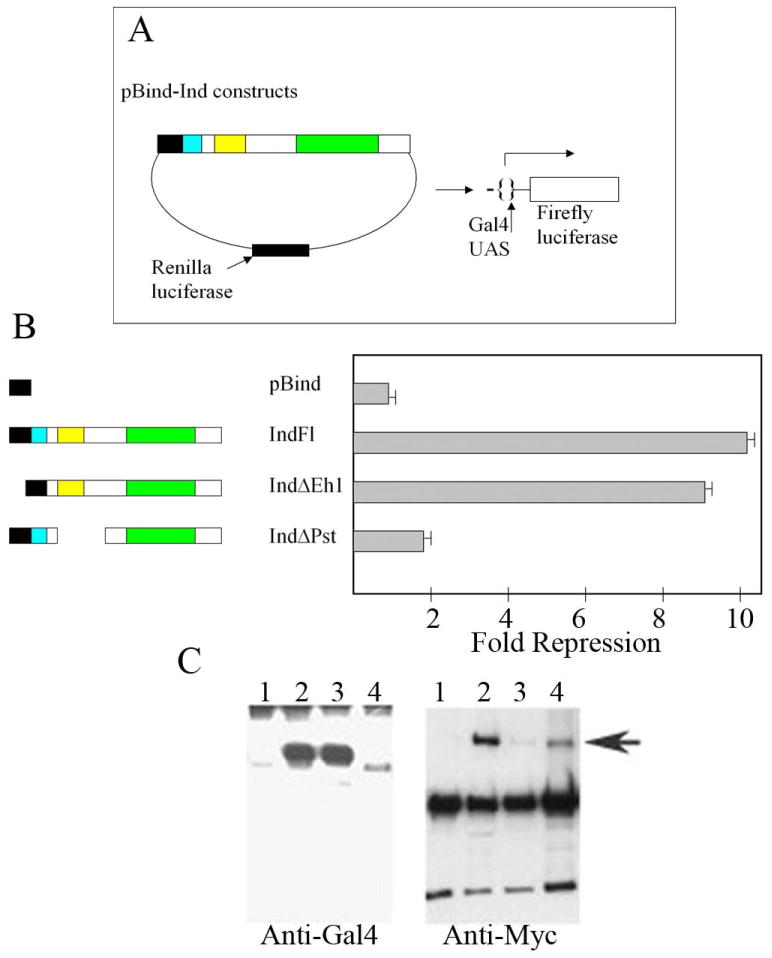 Fig. 4