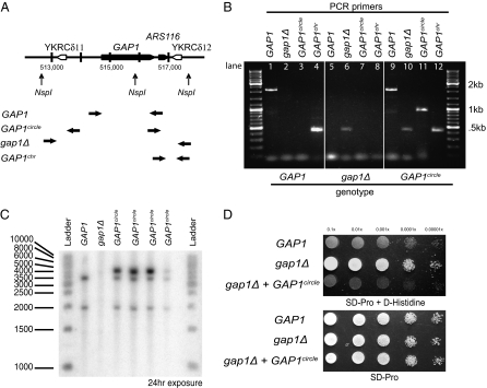 Fig. 3.