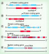 <b>Figure 3.</b>