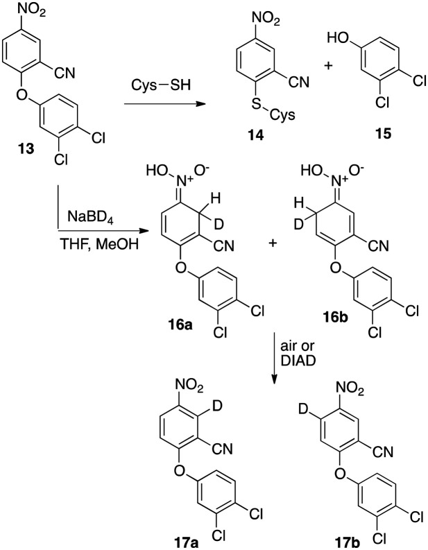 Scheme 2