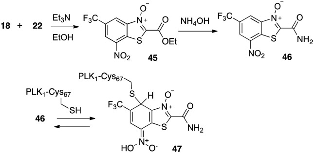 Scheme 5