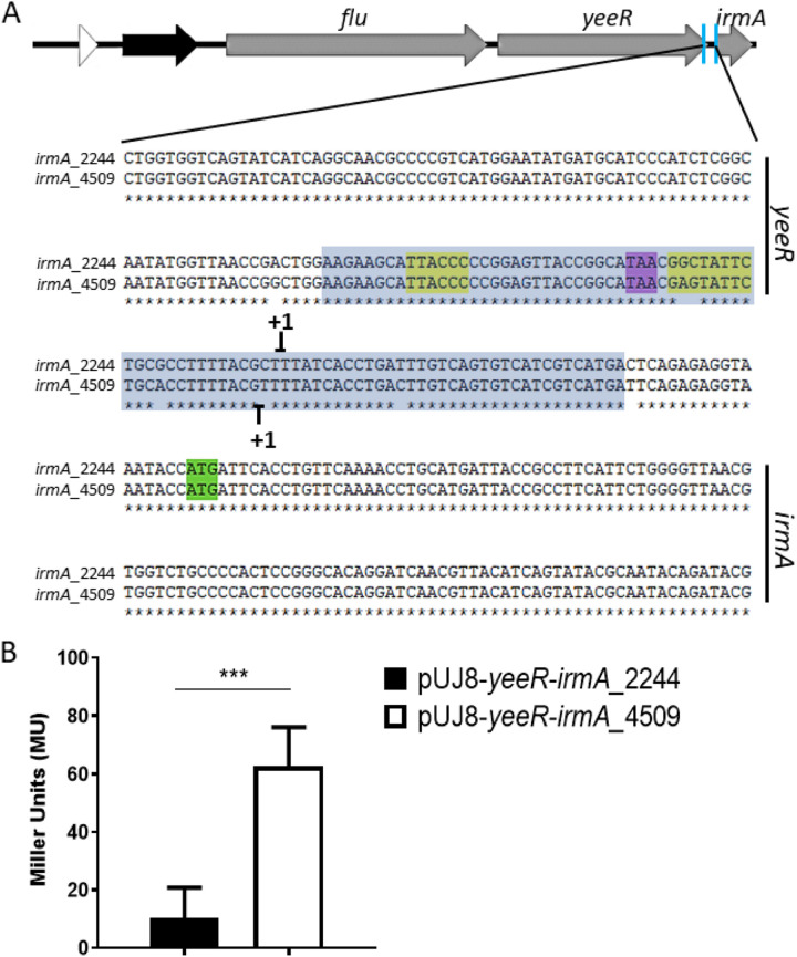FIG 10