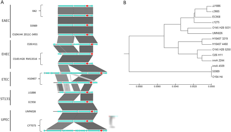 FIG 12