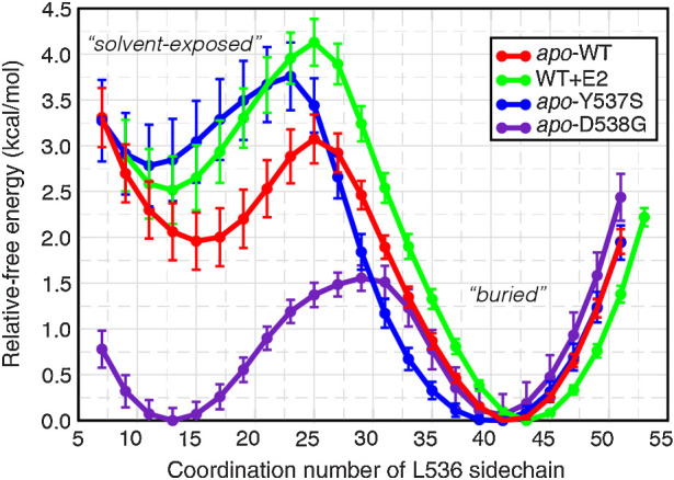 Figure 3. Free energy profile of Leu536 conformational change. The average relative free energy and associated error were computed for conformations of Leu536 rotating from a solvent-exposed conformation (low coordination number) to a buried conformation (high coordination number).