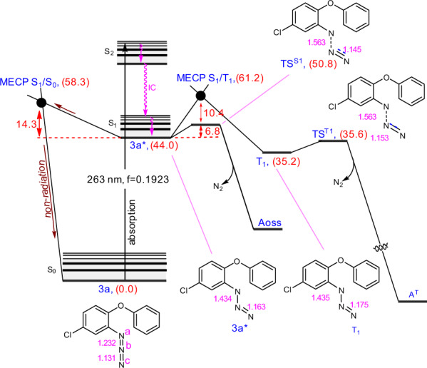 Fig. 6