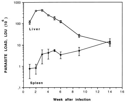 FIG. 1