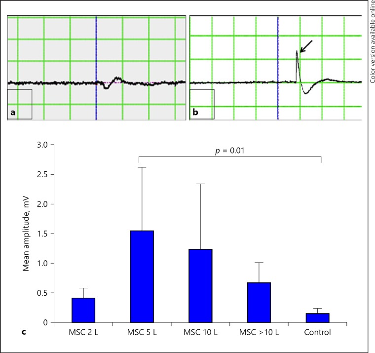 Fig. 9