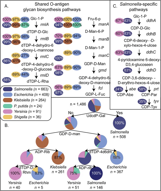 FIG 2