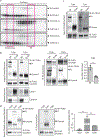 Extended Data Fig. 9: