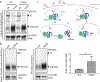 Extended Data Fig. 7: