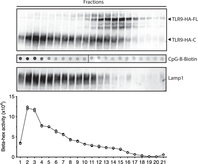 Extended Data Fig. 6: