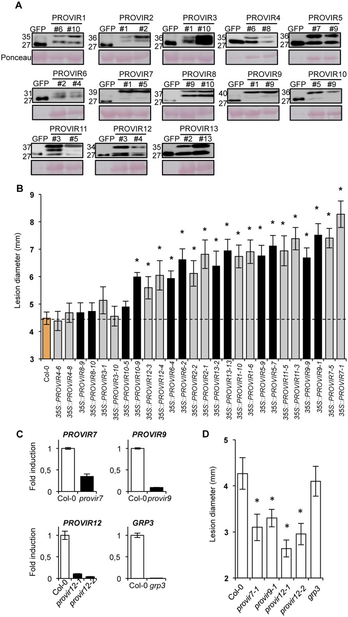 Fig 6