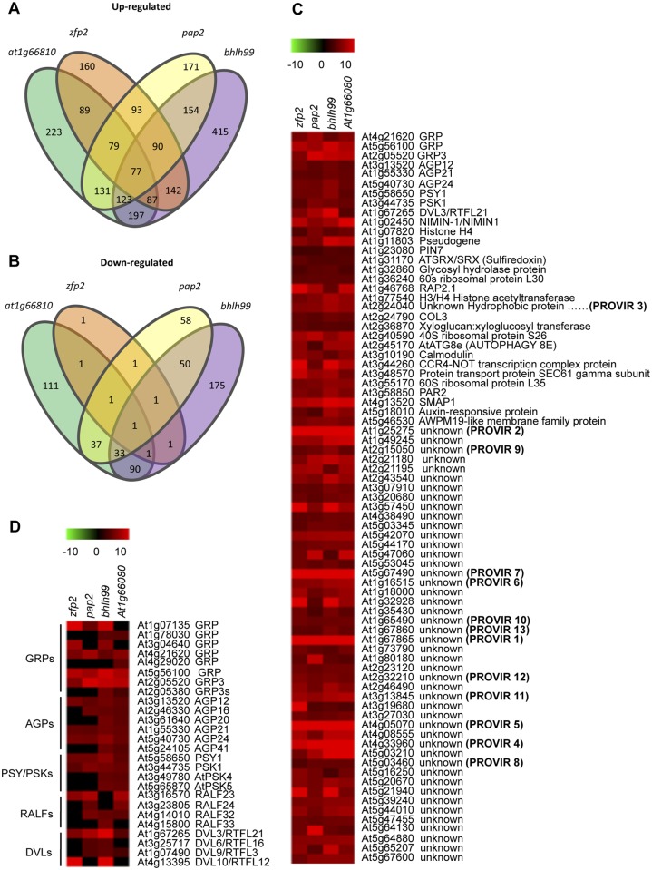 Fig 2