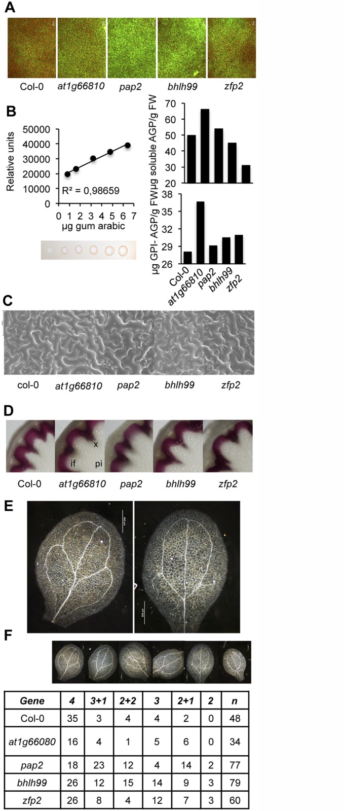 Fig 3