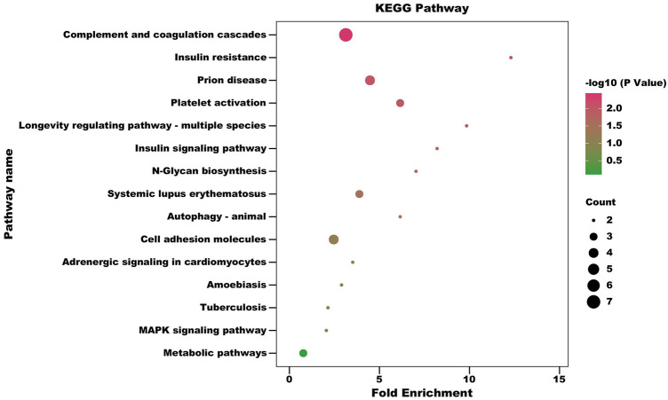 FIGURE 4