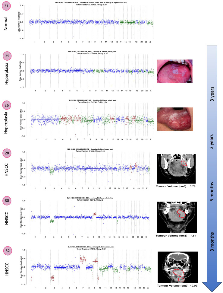 Figure 3