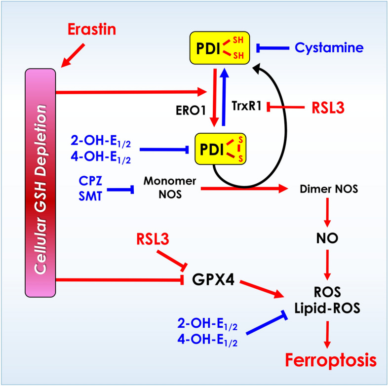 Fig. 12