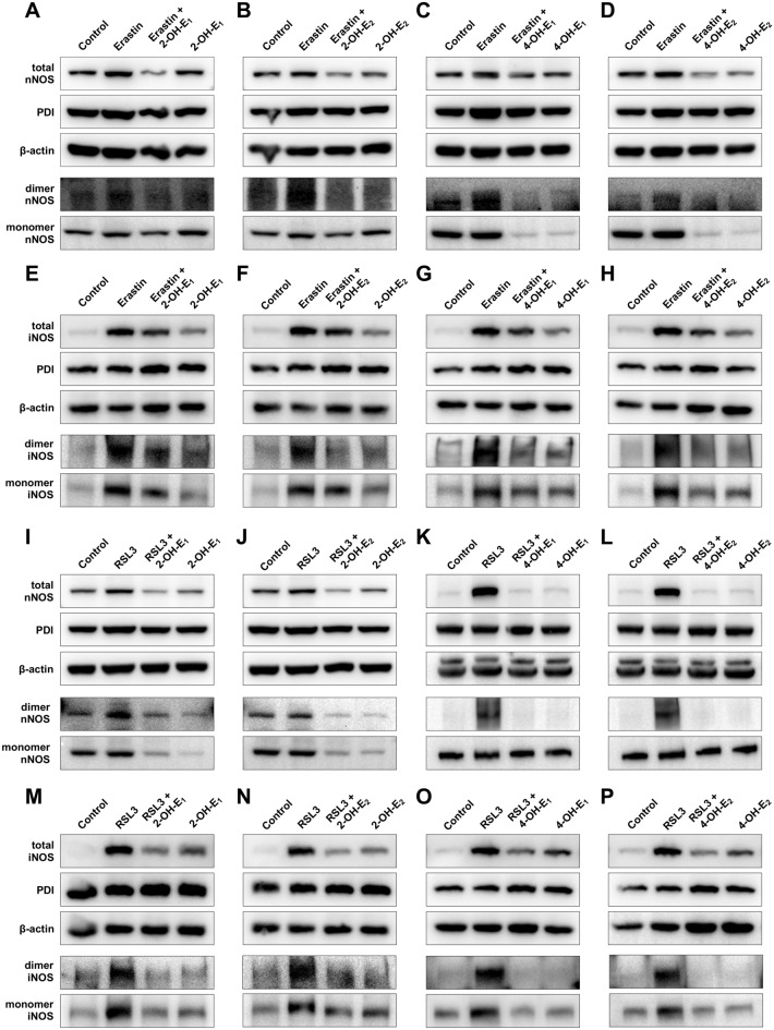 Fig. 11